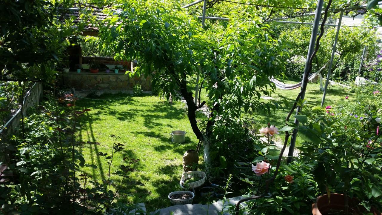 Guest House Ucha Mtskheta Exterior photo