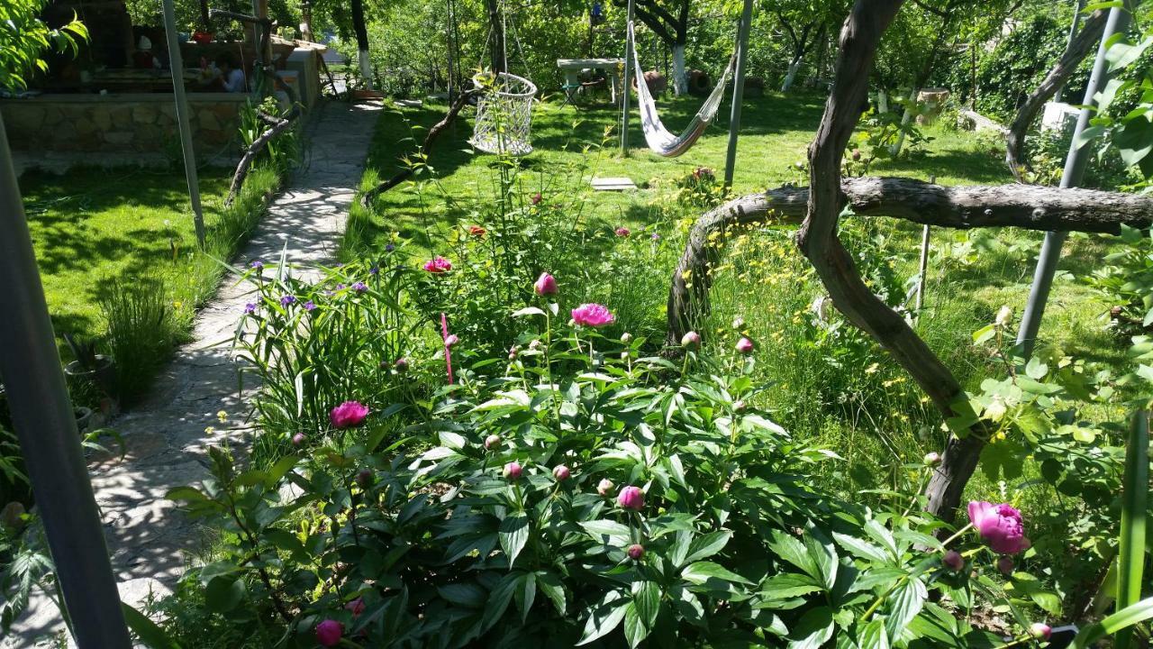 Guest House Ucha Mtskheta Exterior photo